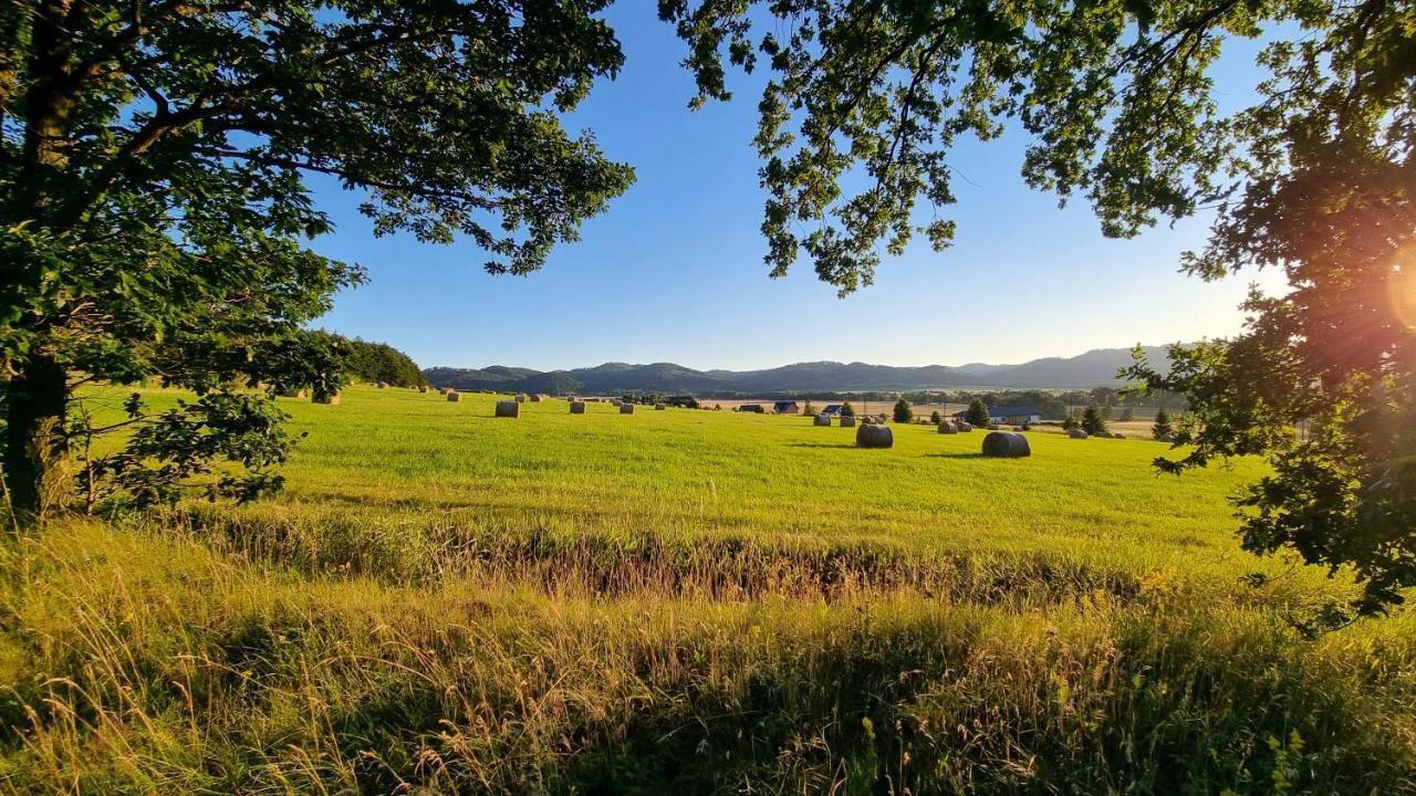 Folwark Leszczynowka Villa Srebrna Góra Dış mekan fotoğraf