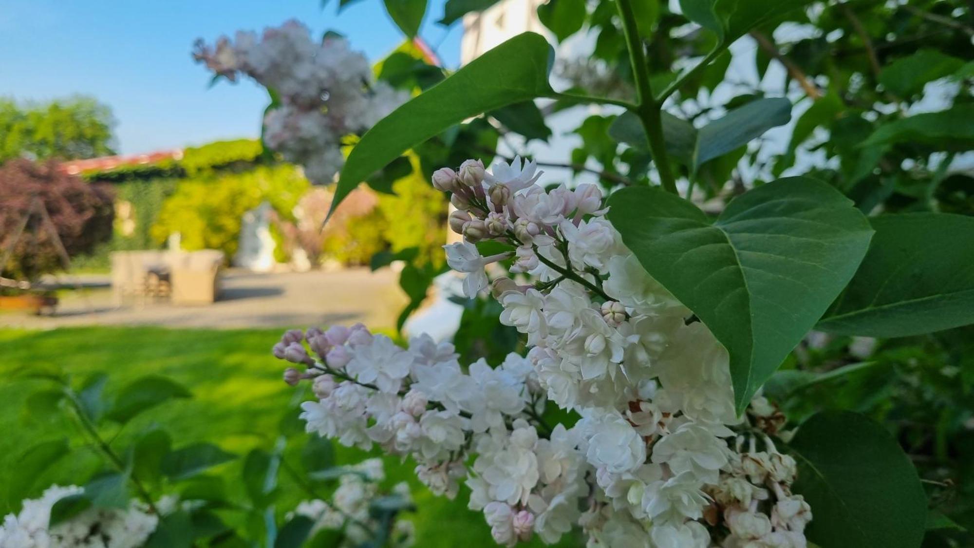 Folwark Leszczynowka Villa Srebrna Góra Dış mekan fotoğraf