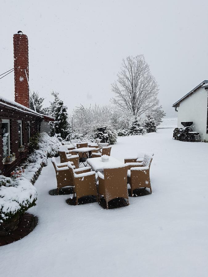 Folwark Leszczynowka Villa Srebrna Góra Dış mekan fotoğraf