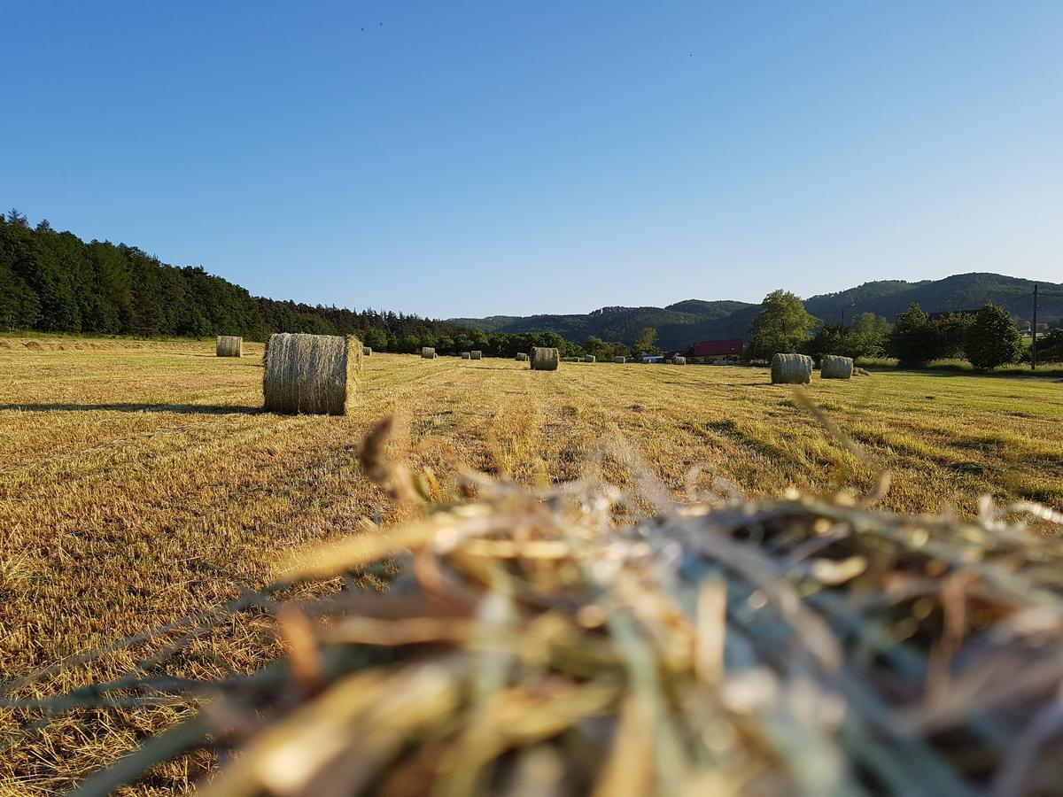 Folwark Leszczynowka Villa Srebrna Góra Dış mekan fotoğraf