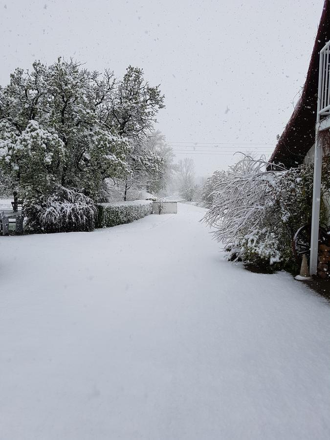 Folwark Leszczynowka Villa Srebrna Góra Dış mekan fotoğraf